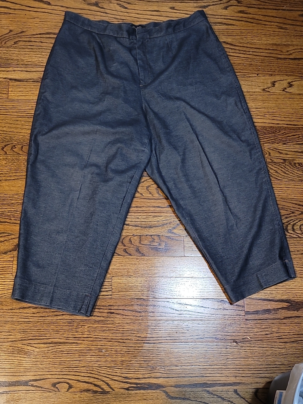 Women's Cropped Dress Pants in Blue